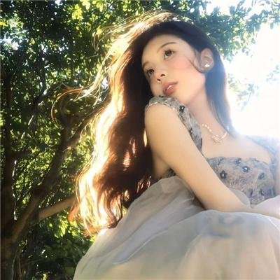 美国派:高潮再起